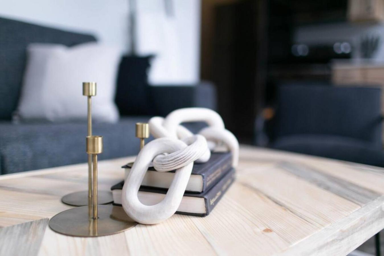 Convenient Downtown Loft Wifi And Elevator Apartment